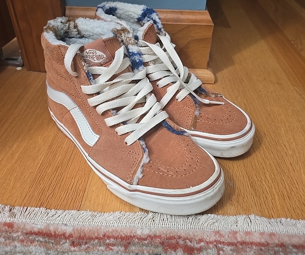Vans High-Top Suede Sherpa Lined Mens Shoe